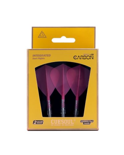 Cuesoul  Flight Rost T19 Carbon Kite  Pink 1